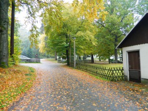 DSCN5026